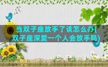 当双子座放手了该怎么办(双子座深爱一个人会放手吗)