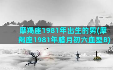 摩羯座1981年出生的男(摩羯座1981年腊月初六血型B)