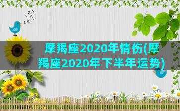 摩羯座2020年情伤(摩羯座2020年下半年运势)