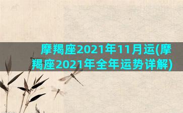 摩羯座2021年11月运(摩羯座2021年全年运势详解)