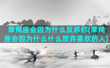 摩羯座会因为什么反感你(摩羯座会因为什么什么放弃喜欢的人)