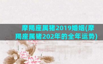 摩羯座属猪2019婚姻(摩羯座属猪202年的全年运势)