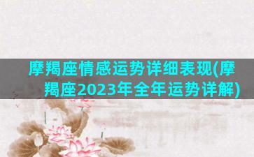 摩羯座情感运势详细表现(摩羯座2023年全年运势详解)