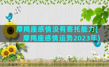 摩羯座感情没有寄托能力(摩羯座感情运势2023年)