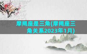 摩羯座是三角(摩羯座三角关系2023年1月)