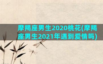 摩羯座男生2020桃花(摩羯座男生2021年遇到爱情吗)