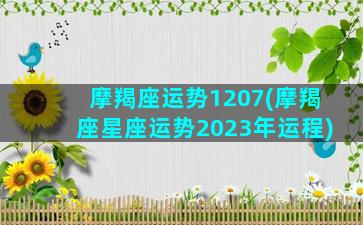 摩羯座运势1207(摩羯座星座运势2023年运程)