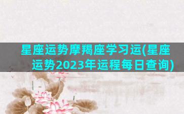 星座运势摩羯座学习运(星座运势2023年运程每日查询)