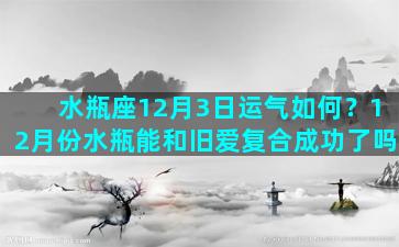 水瓶座12月3日运气如何？12月份水瓶能和旧爱复合成功了吗