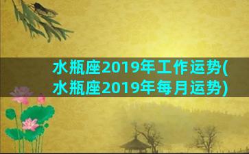 水瓶座2019年工作运势(水瓶座2019年每月运势)