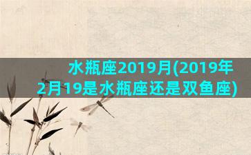 水瓶座2019月(2019年2月19是水瓶座还是双鱼座)