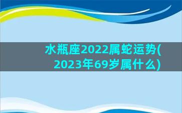 水瓶座2022属蛇运势(2023年69岁属什么)