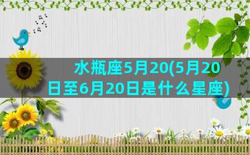 水瓶座5月20(5月20日至6月20日是什么星座)