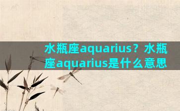 水瓶座aquarius？水瓶座aquarius是什么意思