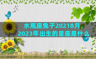 水瓶座兔子20218月，2023年出生的星座是什么