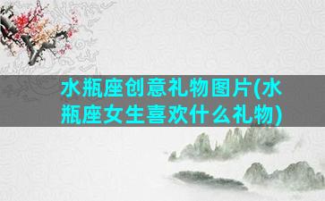 水瓶座创意礼物图片(水瓶座女生喜欢什么礼物)