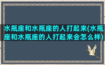 水瓶座和水瓶座的人打起来(水瓶座和水瓶座的人打起来会怎么样)