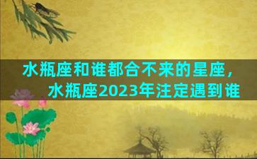 水瓶座和谁都合不来的星座，水瓶座2023年注定遇到谁