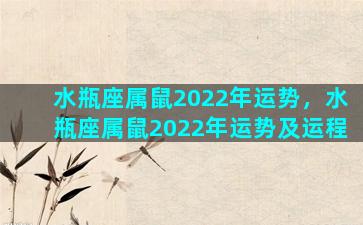 水瓶座属鼠2022年运势，水瓶座属鼠2022年运势及运程