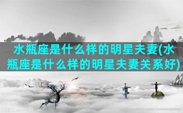 水瓶座是什么样的明星夫妻(水瓶座是什么样的明星夫妻关系好)