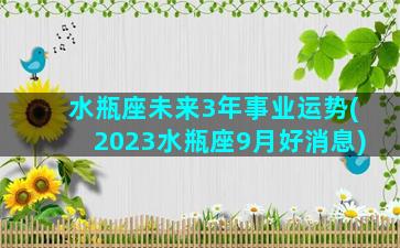 水瓶座未来3年事业运势(2023水瓶座9月好消息)