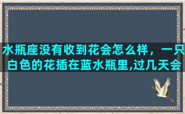 水瓶座没有收到花会怎么样，一只白色的花插在蓝水瓶里,过几天会有什么变化,原因是什么