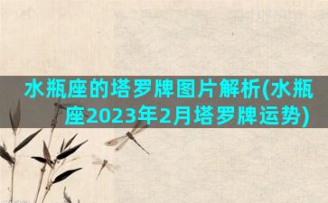 水瓶座的塔罗牌图片解析(水瓶座2023年2月塔罗牌运势)