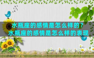 水瓶座的感情是怎么样的？水瓶座的感情是怎么样的表现