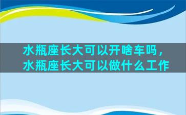 水瓶座长大可以开啥车吗，水瓶座长大可以做什么工作