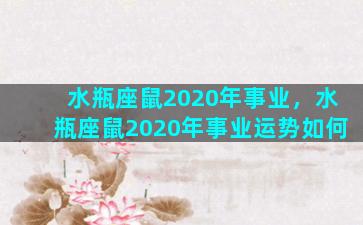 水瓶座鼠2020年事业，水瓶座鼠2020年事业运势如何