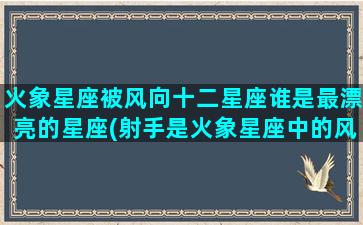 火象星座被风向十二星座谁是最漂亮的星座(射手是火象星座中的风向)