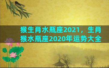 猴生肖水瓶座2021，生肖猴水瓶座2020年运势大全