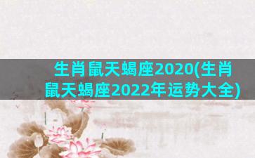 生肖鼠天蝎座2020(生肖鼠天蝎座2022年运势大全)