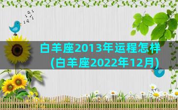 白羊座2013年运程怎样(白羊座2022年12月)