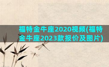 福特金牛座2020视频(福特金牛座2023款报价及图片)