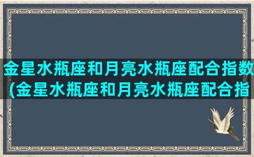 金星水瓶座和月亮水瓶座配合指数(金星水瓶座和月亮水瓶座配合指数一样吗)