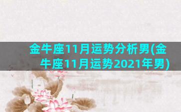 金牛座11月运势分析男(金牛座11月运势2021年男)