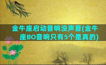 金牛座启动音响没声音(金牛座BO音响只有5个是真的)