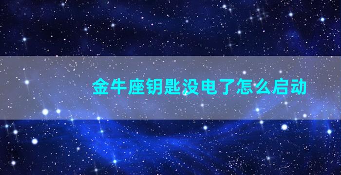 金牛座钥匙没电了怎么启动