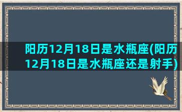 阳历12月18日是水瓶座(阳历12月18日是水瓶座还是射手)