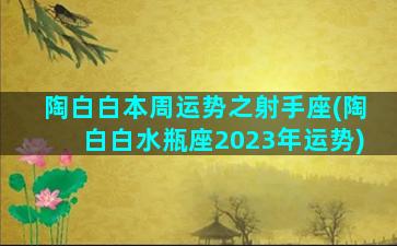 陶白白本周运势之射手座(陶白白水瓶座2023年运势)